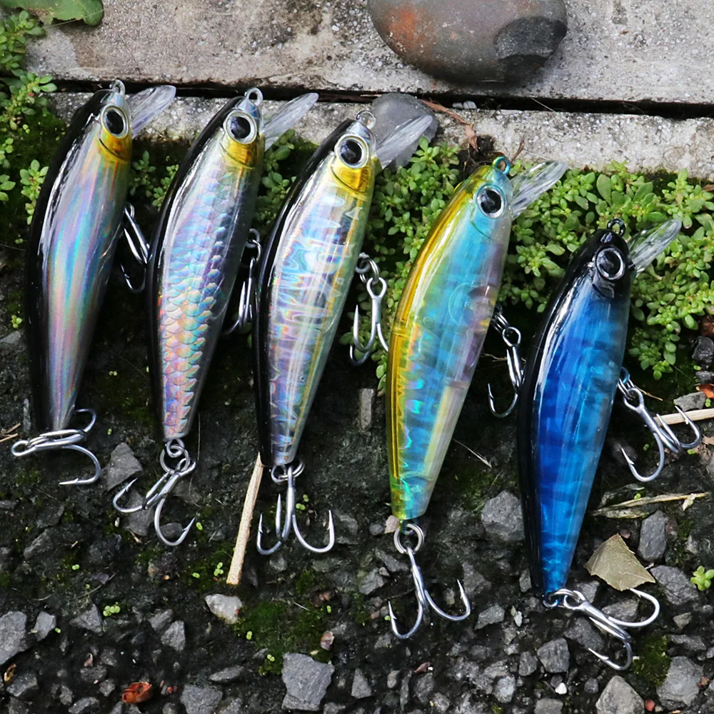 غرق أسماك 11 جرام 7 سنتيمتر إغ - مراجعة Fishing Equipment Daiwa وسعره