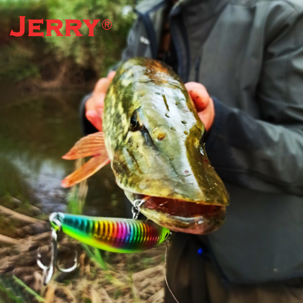 إغراء الصيد في المياه العذبة ، - مراجعة Fishing Equipment For Trout وسعره