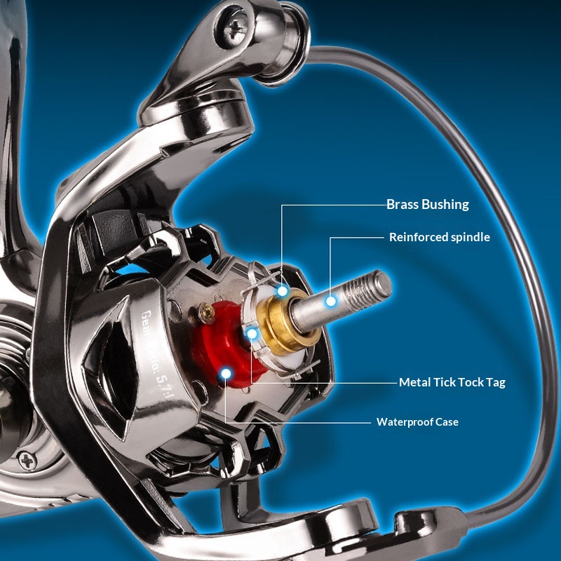 بكرة صيد CMAN DK3000 ذات هيكل  - مراجعة Fishing Equipment Daiwa وسعره