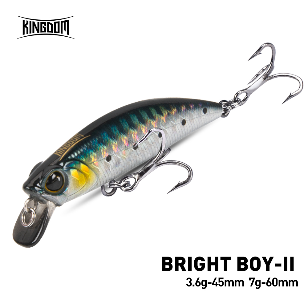 المملكة غرق أسماك الصيد إغراء  - مراجعة Fishing Equipment For Trout وسعره